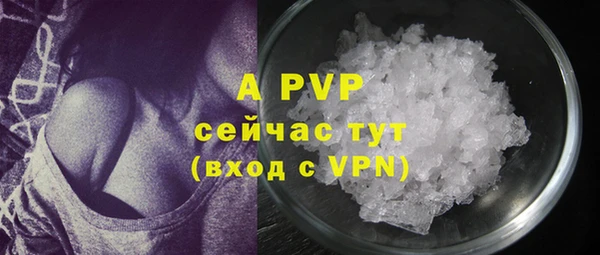крисы Балахна